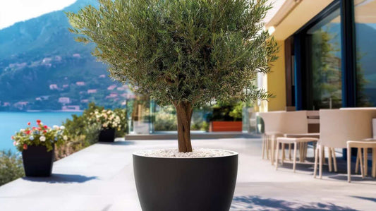 Fiberstone-Blumentopf-in-Schwarz-Schöne-grauschwarze-Patina-nach-einiger-Zeit Amei