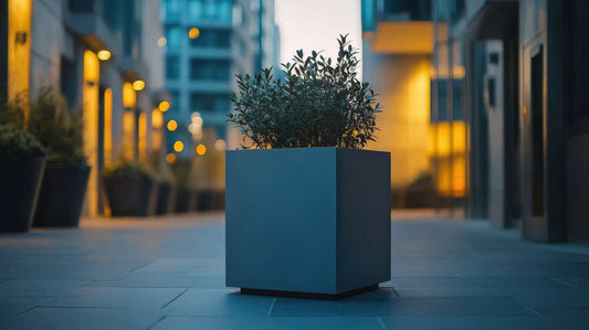 Blumenkübel-richtig-bepflanzen-Welche-Pflanzen-sich-besonders-gut-eignen Amei