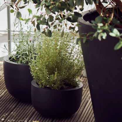 Blumenkübel in elegantem Schwarz mit runder Form, ideal für Kräuter, Sträucher und kleine Bäume. Wetterfestes Design für den Außenbereich auf Terrasse, Balkon oder im Garten.