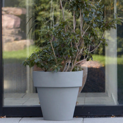 Heller Blumentopf, ideal für die Unterbringung von mittelgroßen bis großen Pflanzen. Diese runden Blumenkübel in dezentem Grau sind vielseitig einsetzbar und harmonieren perfekt mit jeder Art von Umgebung, sei es im Innenbereich oder im Freien. Ihr robustes und doch elegantes Design unterstützt das gesunde Wachstum der Pflanzen und bietet eine attraktive Plattform, um Grünflächen in Wohnräumen, Büros oder auf Balkonen stilvoll zu gestalten.