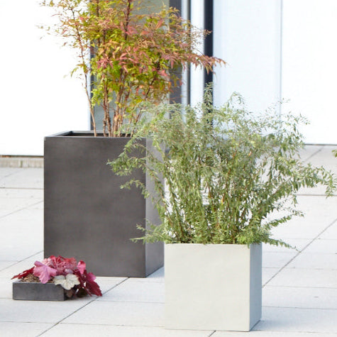 Blumentopf kubisch in Grau, ideal für die Gestaltung von Außenbereichen wie Terrassen, Balkonen und Eingangsbereichen. Diese modernen Blumenkübel in unterschiedlichen Grautönen bieten eine stilvolle Möglichkeit, Pflanzen zu präsentieren und strukturierte Akzente zu setzen. Ihre robuste Bauweise macht sie wetterfest und langlebig, perfekt für Sträucher, Zierpflanzen oder kleine Bäume. Das minimalistische Design sorgt für eine elegante Optik und fügt sich harmonisch in jede Umgebung ein.