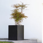 Blumentopf kubisch in Schwarz, ideal für Gärten, Terrassen und Eingangsbereiche. Dieser quadratische Blumenkübel bietet eine moderne und minimalistische Optik, die sich perfekt in verschiedene Außenbereiche einfügt. Durch seine stabile Bauweise ist der Blumentopf wetterfest und langlebig, ideal für die Bepflanzung mit kleinen Bäumen, Sträuchern oder dekorativen Pflanzen. Sein schlichtes Design sorgt für eine elegante Präsentation und unterstreicht die natürliche Schönheit der Pflanzen.