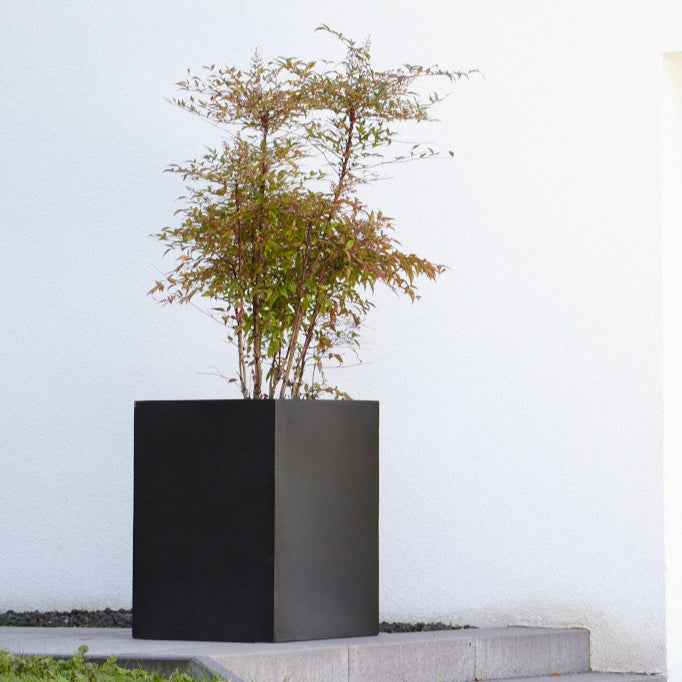 Blumentopf kubisch in Schwarz, ideal für Gärten, Terrassen und Eingangsbereiche. Dieser quadratische Blumenkübel bietet eine moderne und minimalistische Optik, die sich perfekt in verschiedene Außenbereiche einfügt. Durch seine stabile Bauweise ist der Blumentopf wetterfest und langlebig, ideal für die Bepflanzung mit kleinen Bäumen, Sträuchern oder dekorativen Pflanzen. Sein schlichtes Design sorgt für eine elegante Präsentation und unterstreicht die natürliche Schönheit der Pflanzen.