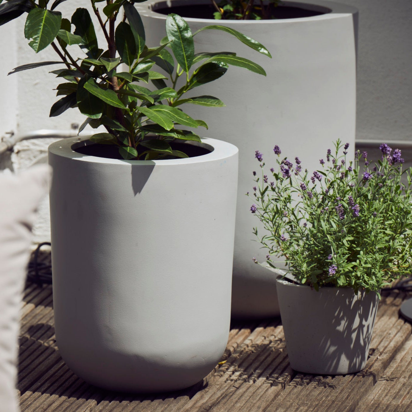 Blumentopf rund in Grau, perfekt für die stilvolle Gestaltung von Balkonen, Terrassen und Gärten. Diese eleganten Blumenkübel bieten eine moderne, minimalistische Optik und eignen sich hervorragend für verschiedene Pflanzenarten. Ihr wetterfestes Material sorgt für Langlebigkeit und Widerstandsfähigkeit im Außenbereich. Die runde Form schafft eine harmonische Atmosphäre und fügt sich nahtlos in jede Umgebung ein.