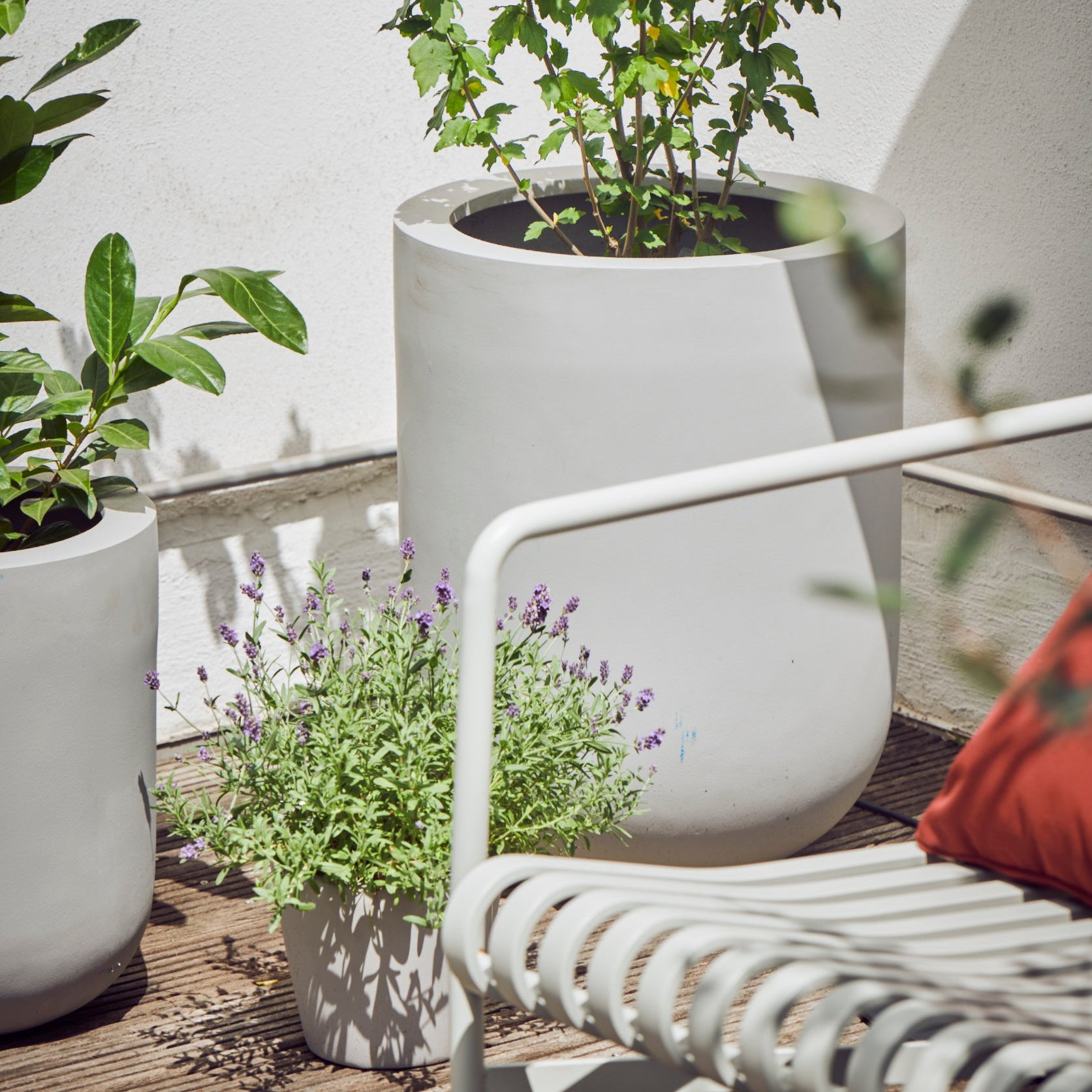 Blumentopf rund in Weiss, ideal für stilvolle Außenbereiche wie Terrassen, Balkone und Gärten. Diese eleganten Blumenkübel in runder Form bieten eine moderne Optik und schaffen eine harmonische Umgebung für Pflanzen. Ihr schlichtes Design passt perfekt zu verschiedenen Einrichtungsstilen und setzt grüne Akzente im Außenbereich. Wetterfest und langlebig, eignen sie sich für eine Vielzahl von Pflanzen, von Sträuchern bis hin zu Kräutern und Blumen.
