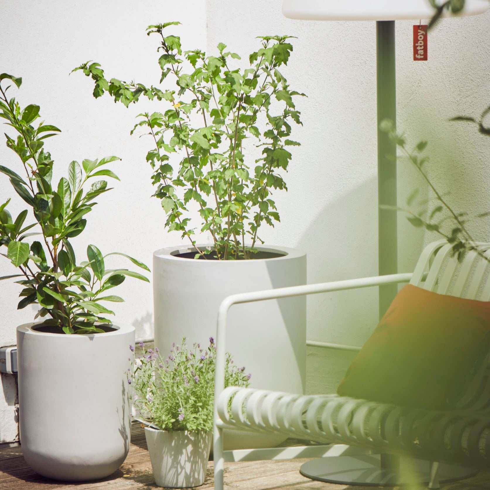 Blumentopf rund in Weiss, perfekt für die moderne Gestaltung von Terrassen, Balkonen und Gärten. Diese runden Blumenkübel bieten eine schlichte und elegante Optik, die sich harmonisch in jede Umgebung einfügt. Sie sind ideal für verschiedene Pflanzenarten wie Sträucher, Blumen oder kleine Bäume und sorgen für eine natürliche Atmosphäre. Das wetterfeste Material macht sie langlebig und pflegeleicht, ideal für den Außenbereich.