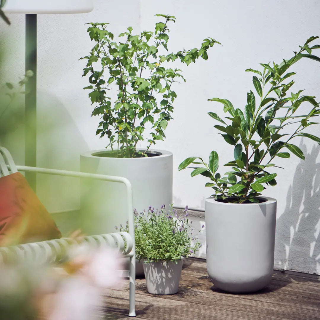 amei pflanztopf Runder XXL Blumentopf ab 139€