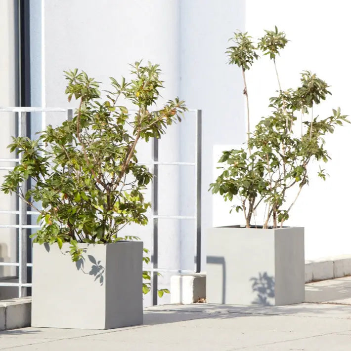 Blumenkübel rechteckig, ideal für die Aufwertung von modernen Terrassen, Balkonen und Eingangsbereichen. Diese stilvollen Pflanzgefäße bieten durch ihre rechteckige Form und die neutrale Farbgebung eine perfekte Basis für verschiedenste Pflanzen und Sträucher. Ihr minimalistisches, klares Design fügt sich nahtlos in zeitgenössische Architekturen ein und schafft ansprechende grüne Akzente in jedem urbanen Außenbereich.
