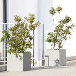 Blumenkübel rechteckig, ideal für die Aufwertung von modernen Terrassen, Balkonen und Eingangsbereichen. Diese stilvollen Pflanzgefäße bieten durch ihre rechteckige Form und die neutrale Farbgebung eine perfekte Basis für verschiedenste Pflanzen und Sträucher. Ihr minimalistisches, klares Design fügt sich nahtlos in zeitgenössische Architekturen ein und schafft ansprechende grüne Akzente in jedem urbanen Außenbereich.