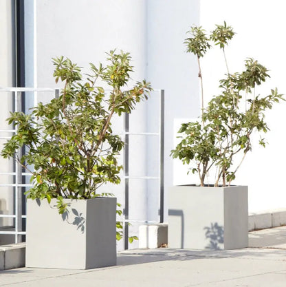 Blumenkübel rechteckig, ideal für die Aufwertung von modernen Terrassen, Balkonen und Eingangsbereichen. Diese stilvollen Pflanzgefäße bieten durch ihre rechteckige Form und die neutrale Farbgebung eine perfekte Basis für verschiedenste Pflanzen und Sträucher. Ihr minimalistisches, klares Design fügt sich nahtlos in zeitgenössische Architekturen ein und schafft ansprechende grüne Akzente in jedem urbanen Außenbereich.