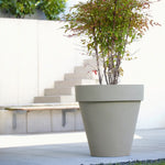 Der mit dem Rand Amei