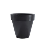 Der mit dem Rand Amei