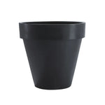 Der mit dem Rand Amei