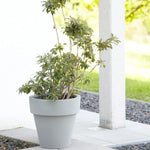 Der mit dem Rand - Pflanzentopf - Amei