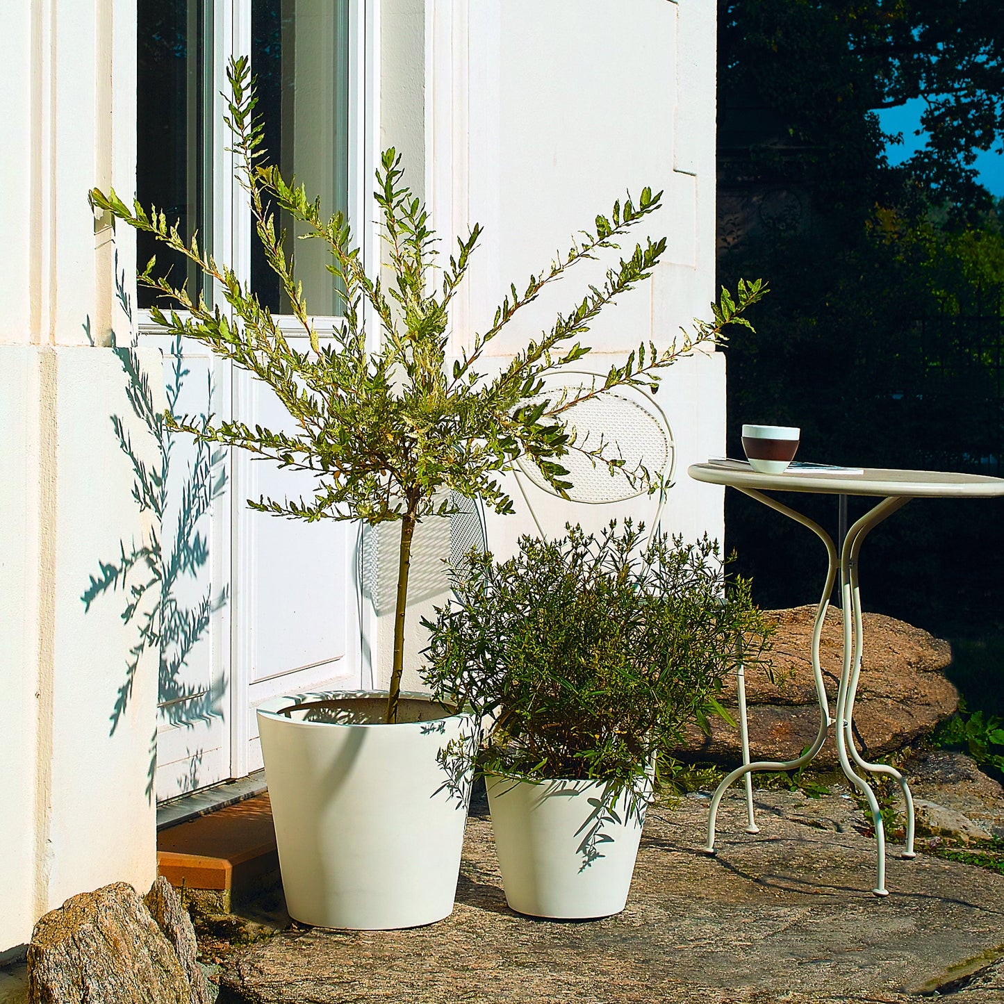 Weißer Blumentopf, ideal für die Aufstellung auf Terrassen oder neben Eingangstüren. Dieser einfache, aber elegante Blumentopf ist perfekt für die Bepflanzung mit Sträuchern oder größeren Pflanzen. Durch seine schlichte weiße Farbe lässt er sich leicht mit verschiedenen Außendekorationen kombinieren und bringt die Farben der Pflanzen besonders zur Geltung. Ideal für jede Außengestaltung.